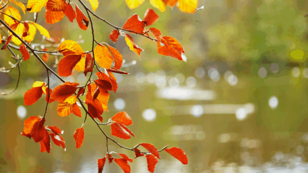 Why Selling Your House in September is a smart move...