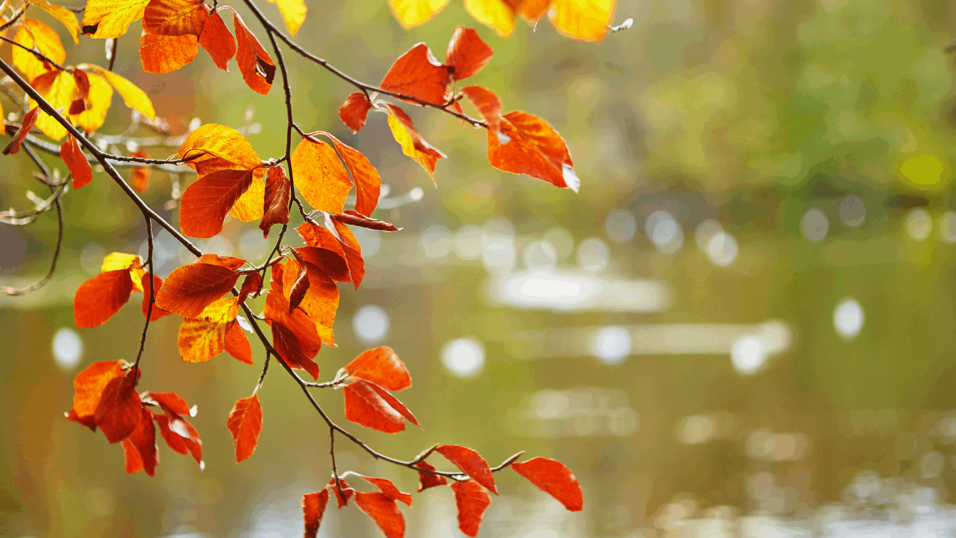 Why Selling Your House in September is a smart move…