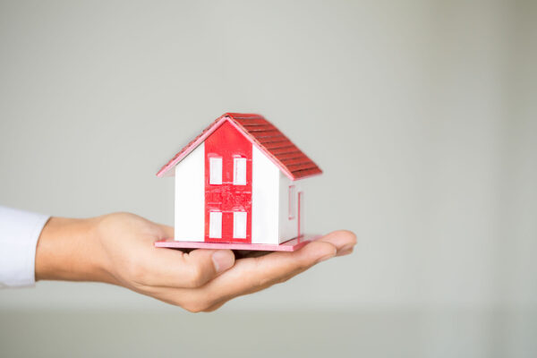 Mould in Rental Properties
