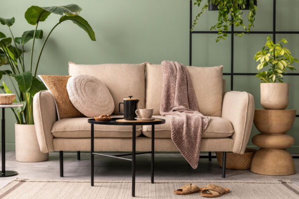How houseplants make your home a little better