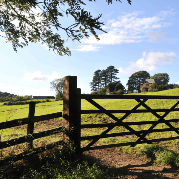 country home for sale