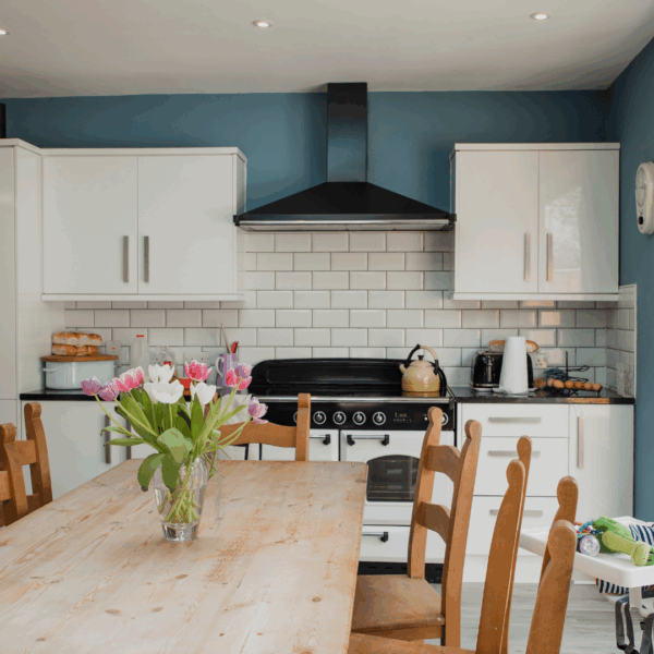 houses with land for sale near me