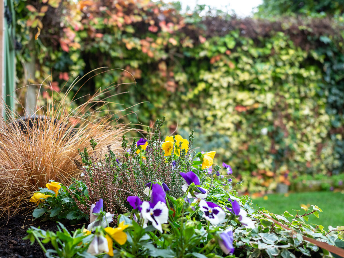 Congreve Way, Stratford-Upon-Avon, CV37