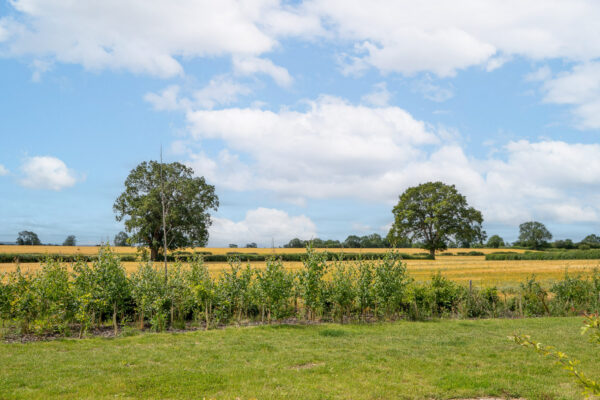 Phillips Way West, Hampton Magna, CV35